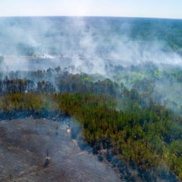 La menace croissante des incendies alimentée par le réchauffement climatique