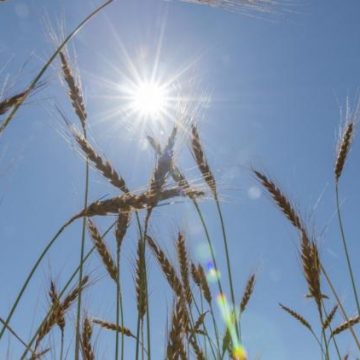 Prévisions Météorologiques : Retour du Soleil sur la France