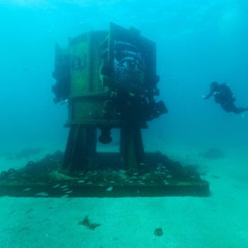 Art Reef: Une Rencontre Audacieuse entre Art et Écologie