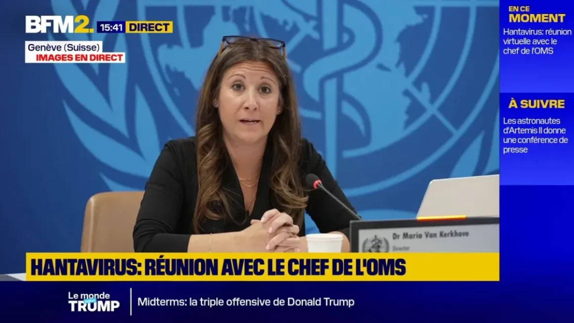 La gestion des épidémies par l’OMS : focus sur l’hantavirus