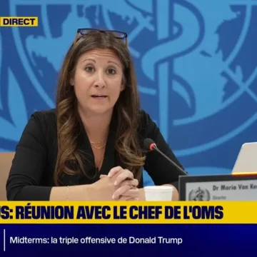 La gestion des épidémies par l’OMS : focus sur l’hantavirus