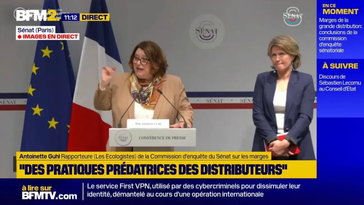 La Commission du Sénat et ses Recommandations sur les Marges des Industriels