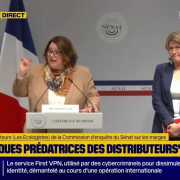 La Commission du Sénat et ses Recommandations sur les Marges des Industriels
