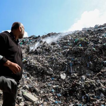 La prolifération des nuisibles accroît les souffrances à Gaza