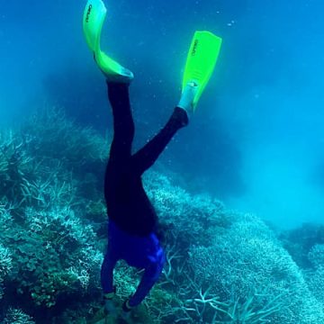 Recherche urgente d’un plongeur au large de Porquerolles