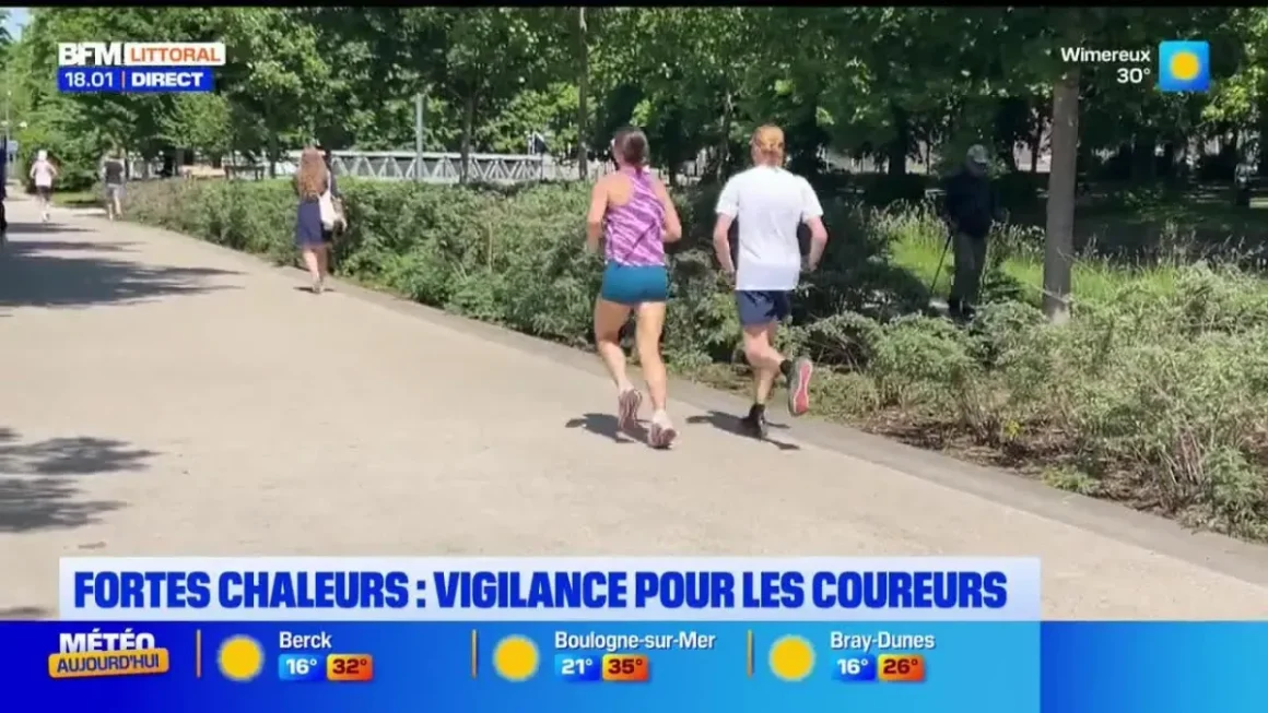 Bonsoir Littoral : Focus sur l’actualité locale