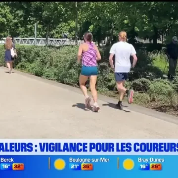 Bonsoir Littoral : Focus sur l’actualité locale