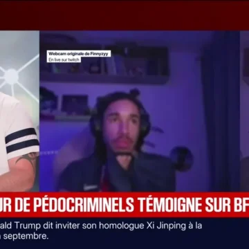 Un ancien vice-président du comité sportif interpellé