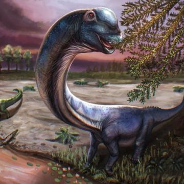 Découverte d’un nouveau dinosaure géant en Thaïlande