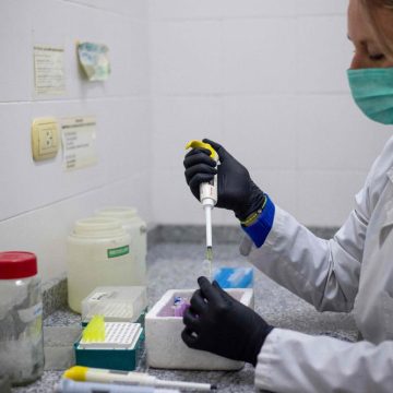 Quarantaine et gestion de l’épidémie de hantavirus