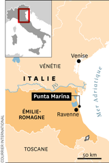 Une invasion insolite à Punta Marina : les paons perturbent le quotidien
