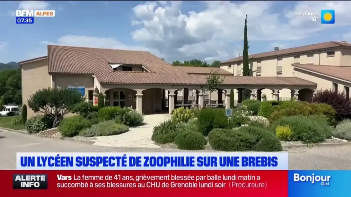 Enquête ouverte pour soupçons de maltraitance animale au lycée agricole de Carmejane