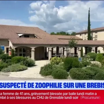 53dd5306-4a3a-4489-b2fe-8ce152625fcc Enquête ouverte pour soupçons de maltraitance animale au lycée agricole de Carmejane