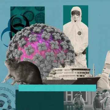 Comprendre l’Hantavirus et ses Implications pour la Santé
