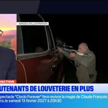 Prédation du loup : la préfecture des Hautes-Alpes renforce ses effectifs