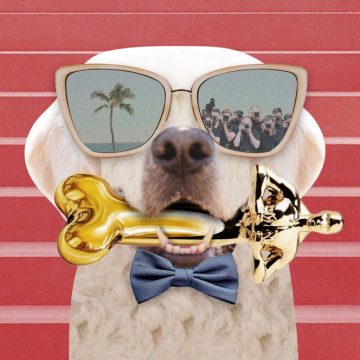 L’émergence des stars canines au cinéma