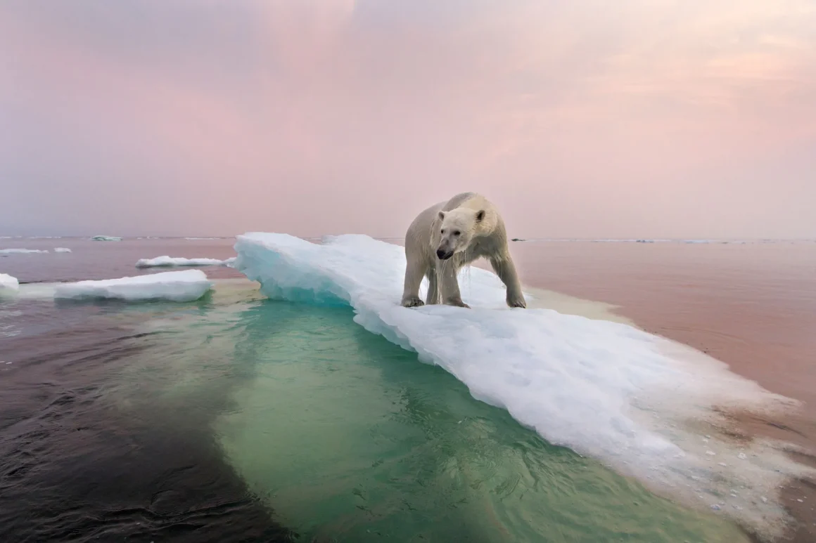 Comprendre le climat du futur