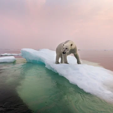 Comprendre le climat du futur