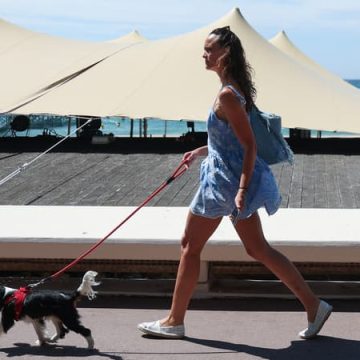 Le sauvetage de deux chiens bloqués dans une voiture sous la canicule