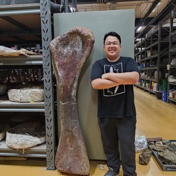 Un Nouveau Géant Découvert en Thaïlande