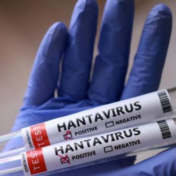 L’hantavirus en Argentine : Un défi persistant pour la science
