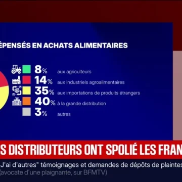 La Commission d’Enquête Sénatoriale Préconise un Rééquilibrage des Marges des Distributeurs