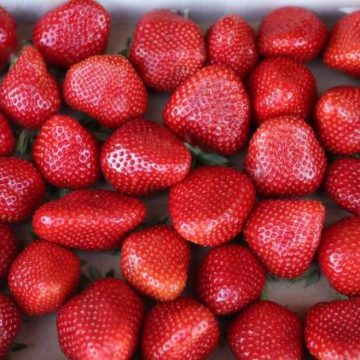 Des alternatives délicieuses pour assaisonner vos fraises