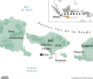 Le conflit des taxis à Bali : entre VTC et banjar