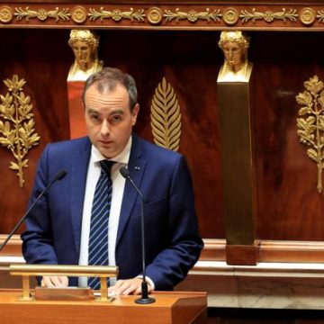 Réactions à la Détention de Militants de la Flottille pour Gaza