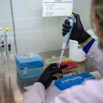 Les efforts pour maîtriser le hantavirus des Andes en France