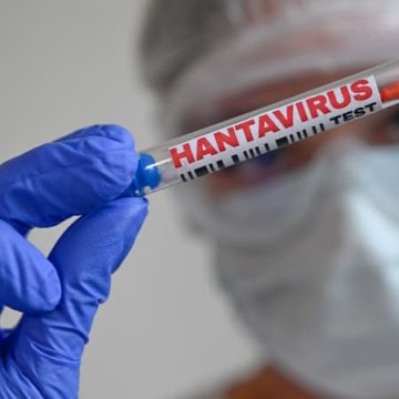 Une mission scientifique se rend à Ushuaïa pour étudier l’hantavirus