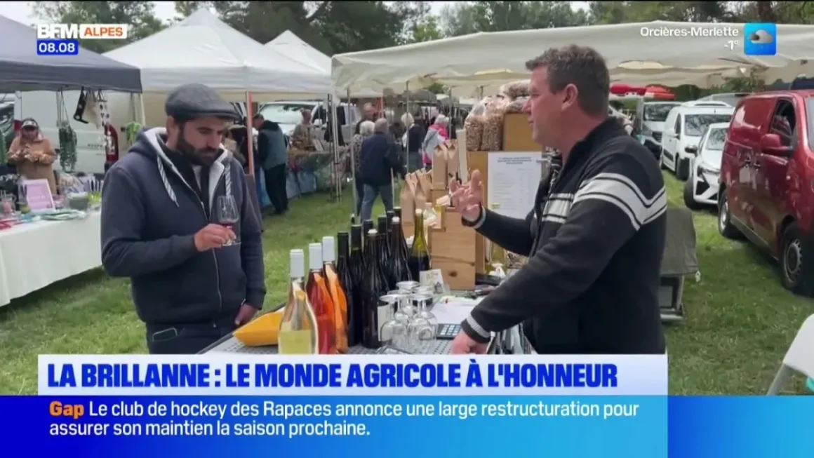 La Brillanne célèbre le monde rural lors de sa 28ème foire agricole