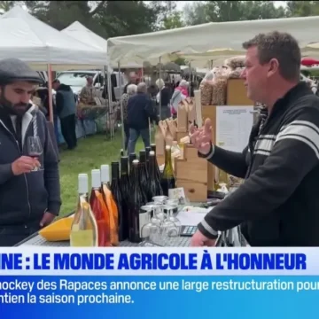 La Brillanne célèbre le monde rural lors de sa 28ème foire agricole