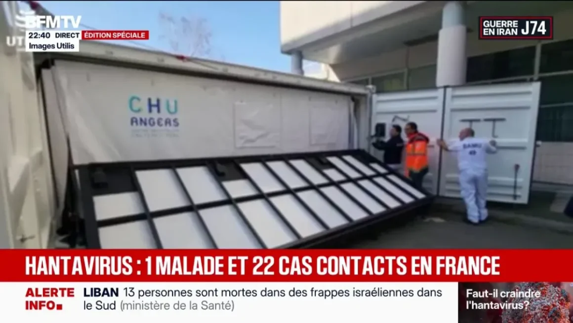Évacuation du MV Hondius après la découverte d’un hantavirus