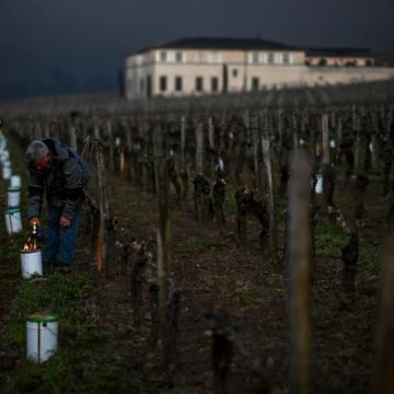 La consommation mondiale de vin en baisse malgré le maintien de la France comme premier exportateur