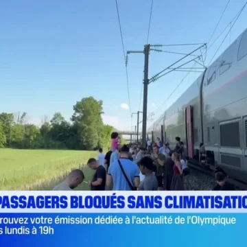 f3b9547e-e014-405c-84c1-79c70667be53 Perturbations ferroviaires sur les lignes Paris-Nice et Lille-Marseille