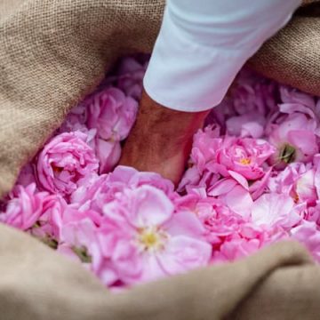 Grasse renaît grâce au soutien des grands noms du parfum