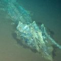 Découverte du plus grand cimetière de baleines au monde
