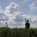 Violents affrontements et recrudescence des tensions entre la Russie et l’Ukraine
