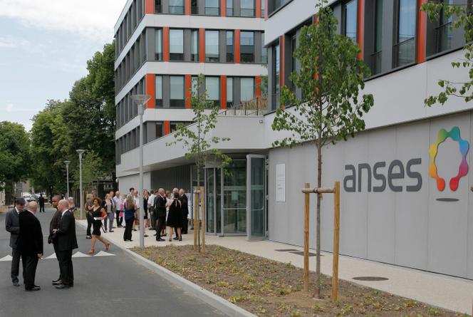 14f6a83f-5603-4e81-a2ad-3169153f9429 Crise des services publics: les revendications des agents en lutte