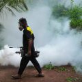 Mesures innovantes contre l’épidémie de dengue au Sri Lanka