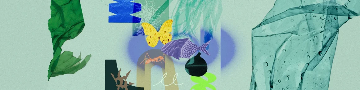 Les Synergies Magiques de la Nature