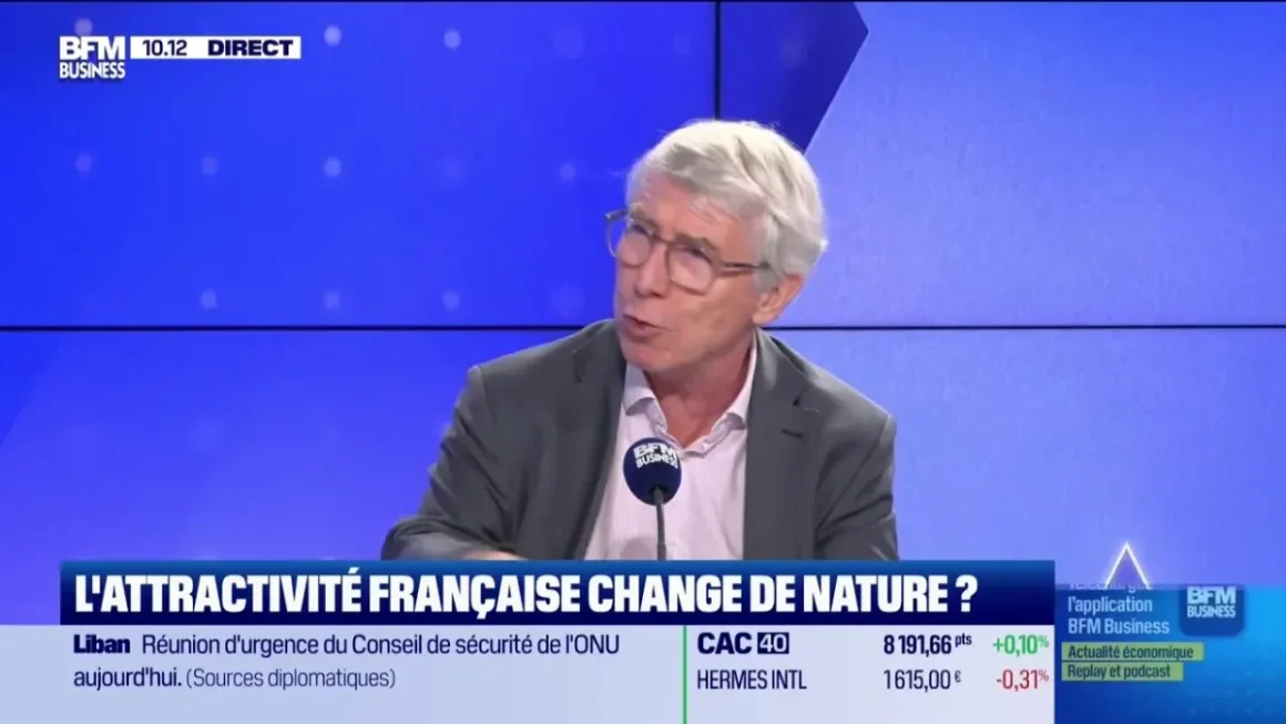 Salaire des Français et Menace de Récession: Débat à ‘Les Experts’