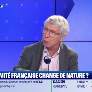 Salaire des Français et Menace de Récession: Débat à ‘Les Experts’