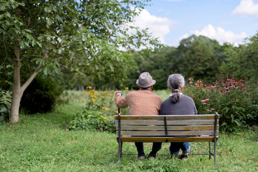 Couple de personnes agees, seniors vus de dos assis cote a cote sur un banc au milieu dÕun jardin, profitant du paysage. Aki Shimazaki explore la vieillesse et la maladie avec délicatesse dans « Mukudori »