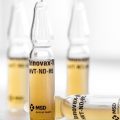 Propagation de la grippe aviaire H5 en Australie : un nouveau défi sanitaire