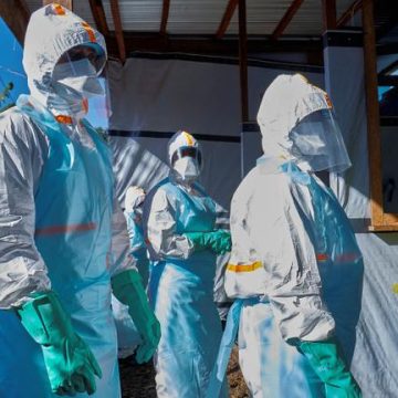 Recherche de Traitements pour la Souche Bundibugyo du Virus Ebola