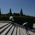 Le report de la conférence nationale du handicap en raison de la canicule