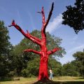 Impacts de la canicule en France et en Europe