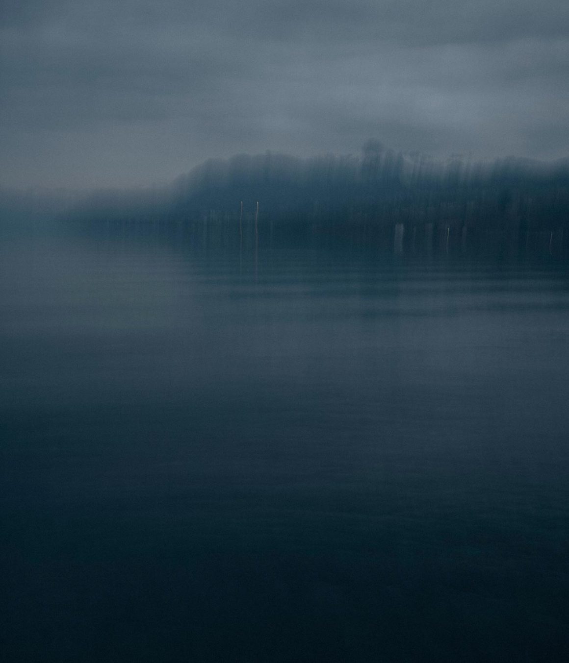 Le réchauffement du Lac Léman et ses impacts sur la biodiversité
